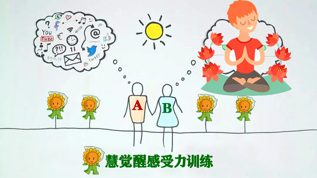 慧觉醒感知力训练.jpg