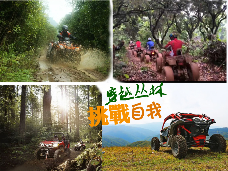 丛林越野1.jpg