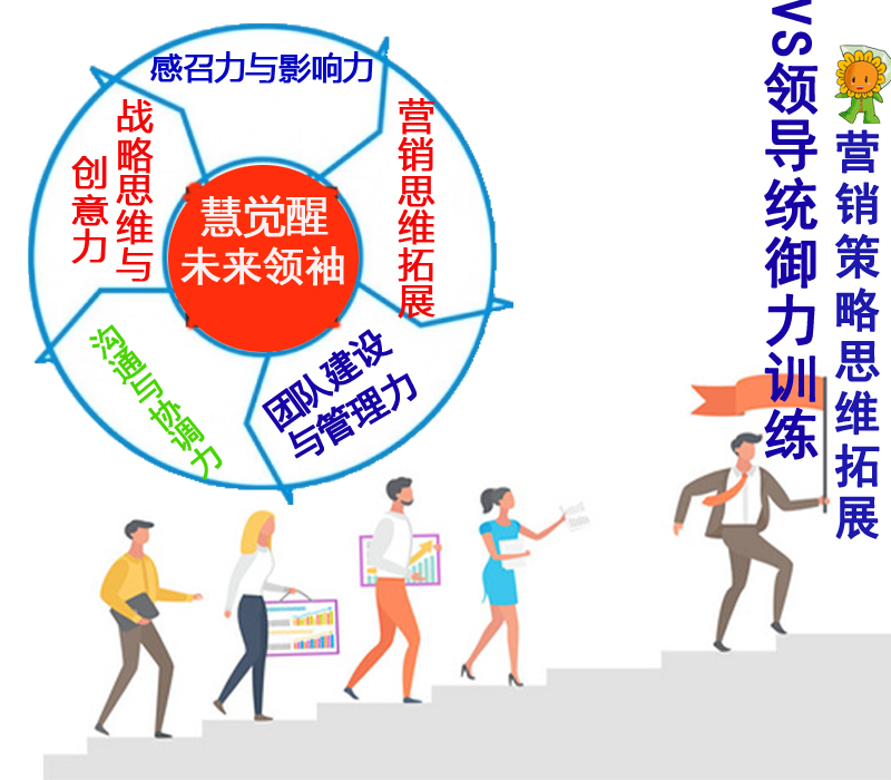 慧觉醒营销策略拓展.jpg